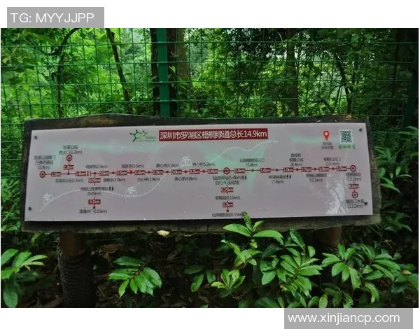 深圳极限运动队协作之道探索与实践分享