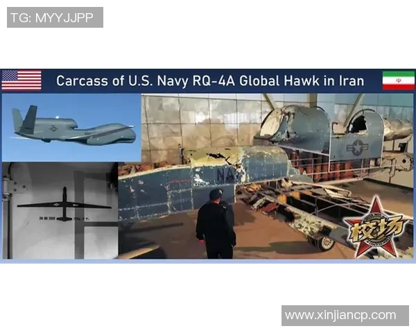 独家解析FPX灵活性对比及其对战术调整的影响分析