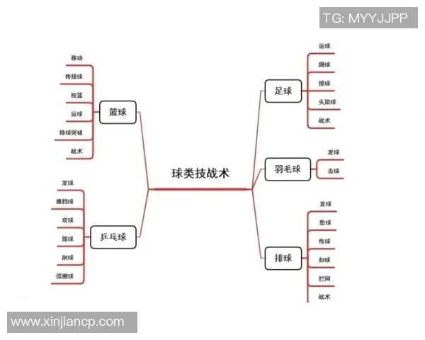南京排球队的战术控制与发展趋势深度解析